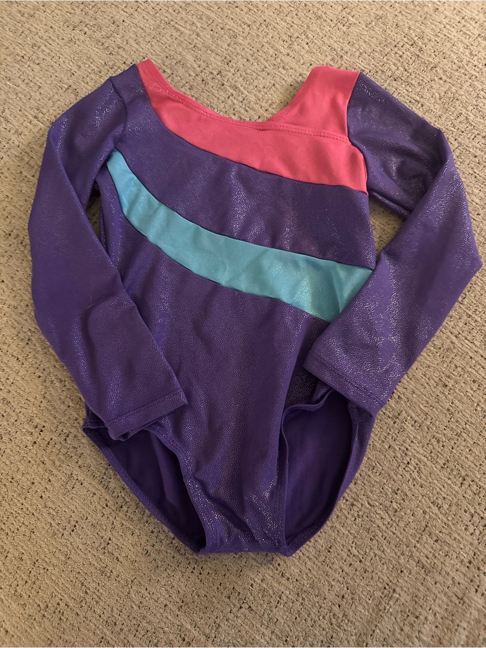 Girls Metallic Purple Leotard with Pink and Teal Stripes